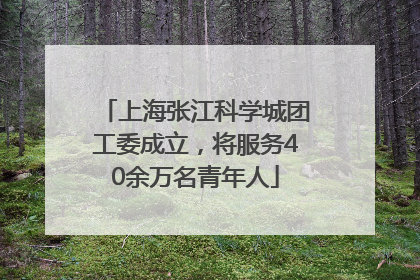 上海张江科学城团工委成立，将服务40余万名青年人