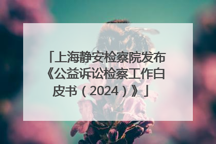 上海静安检察院发布《公益诉讼检察工作白皮书（2024）》