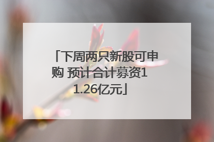 下周两只新股可申购 预计合计募资11.26亿元