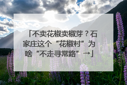 不卖花椒卖椒芽？石家庄这个“花椒村”为啥“不走寻常路”→