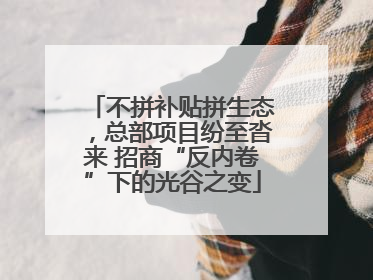 不拼补贴拼生态，总部项目纷至沓来 招商“反内卷”下的光谷之变