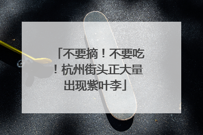 不要摘！不要吃！杭州街头正大量出现紫叶李