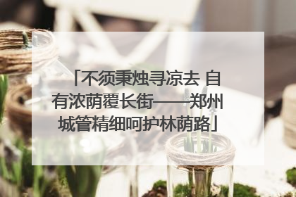 不须秉烛寻凉去 自有浓荫覆长街——郑州城管精细呵护林荫路