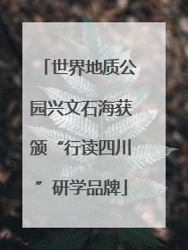 世界地质公园兴文石海获颁“行读四川”研学品牌