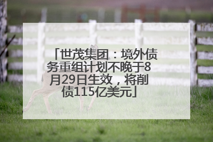 世茂集团：境外债务重组计划不晚于8月29日生效，将削债115亿美元