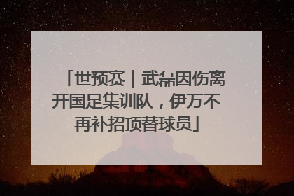 世预赛｜武磊因伤离开国足集训队，伊万不再补招顶替球员