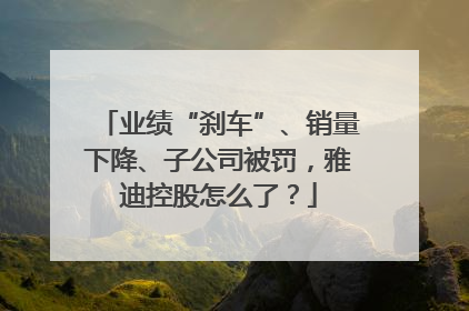 业绩“刹车”、销量下降、子公司被罚，雅迪控股怎么了？