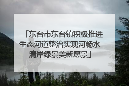 东台市东台镇积极推进生态河道整治实现河畅水清岸绿景美新愿景