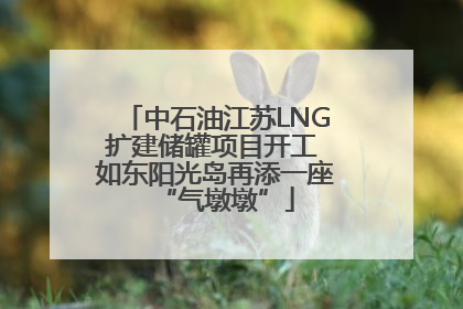 中石油江苏LNG扩建储罐项目开工 如东阳光岛再添一座“气墩墩”