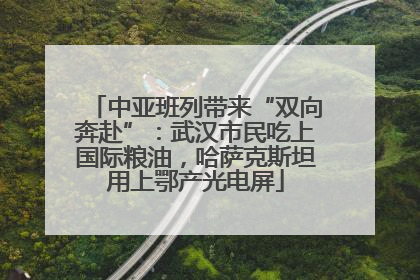 中亚班列带来“双向奔赴”：武汉市民吃上国际粮油，哈萨克斯坦用上鄂产光电屏
