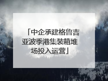 中企承建格鲁吉亚波季港集装箱堆场投入运营