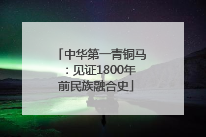 中华第一青铜马：见证1800年前民族融合史