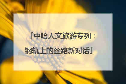 中哈人文旅游专列：钢轨上的丝路新对话