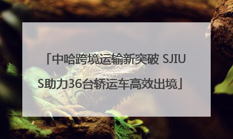 中哈跨境运输新突破 SJIUS助力36台轿运车高效出境