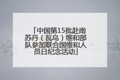 中国第15批赴南苏丹（瓦乌）维和部队参加联合国维和人员日纪念活动