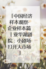 中国经济样本观察·企业样本篇︱亚华湖剧院：小剧场打开大市场