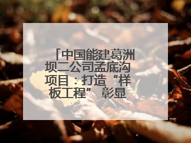 中国能建葛洲坝二公司孟底沟项目：打造“样板工程” 彰显“水电王牌”