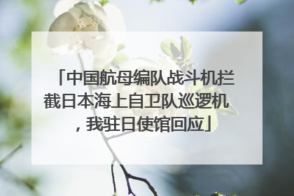 中国航母编队战斗机拦截日本海上自卫队巡逻机，我驻日使馆回应
