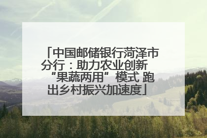 中国邮储银行菏泽市分行：助力农业创新 “果蔬两用”模式 跑出乡村振兴加速度