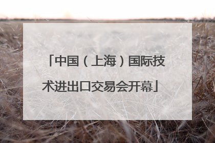 中国（上海）国际技术进出口交易会开幕