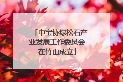 中宝协绿松石产业发展工作委员会在竹山成立