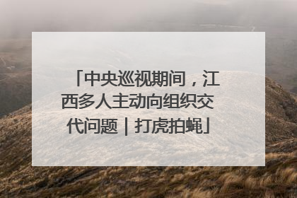 中央巡视期间，江西多人主动向组织交代问题｜打虎拍蝇