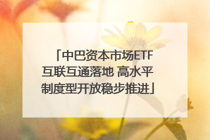 中巴资本市场ETF互联互通落地 高水平制度型开放稳步推进