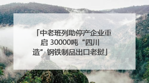 中老班列助停产企业重启 30000吨“四川造”钢铁制品出口老挝
