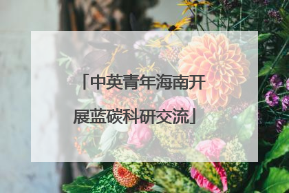 中英青年海南开展蓝碳科研交流