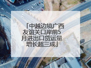 中越边境广西友谊关口岸前5月进出口货运量增长超三成