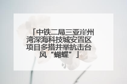 中铁二局三亚崖州湾深海科技城安置区项目多措并举抗击台风“蝴蝶”