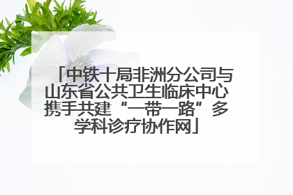 中铁十局非洲分公司与山东省公共卫生临床中心携手共建“一带一路”多学科诊疗协作网