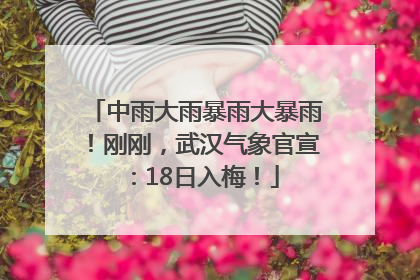 中雨大雨暴雨大暴雨！刚刚，武汉气象官宣：18日入梅！