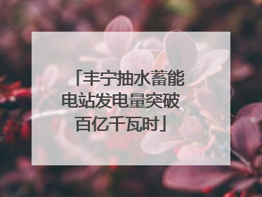 丰宁抽水蓄能电站发电量突破百亿千瓦时