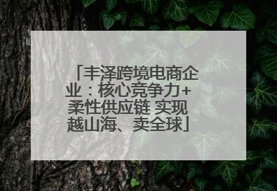 丰泽跨境电商企业：核心竞争力+柔性供应链 实现越山海、卖全球