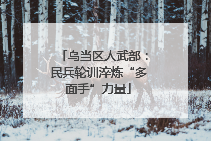乌当区人武部：民兵轮训淬炼“多面手”力量