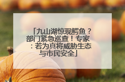 九山湖惊现鳄鱼？部门紧急巡查！专家：若为真将威胁生态与市民安全