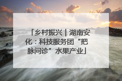 乡村振兴｜湖南安化：科技服务团“把脉问诊”水果产业