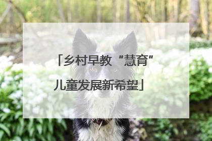 乡村早教“慧育”儿童发展新希望
