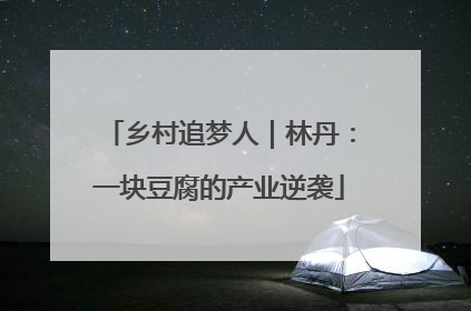 乡村追梦人｜林丹：一块豆腐的产业逆袭