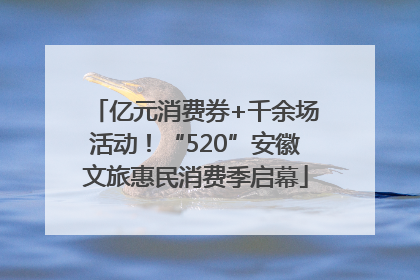 亿元消费券+千余场活动！“520”安徽文旅惠民消费季启幕