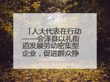 人大代表在行动——会泽县以礼街道发展劳动密集型企业，促进群众挣钱顾家两不误