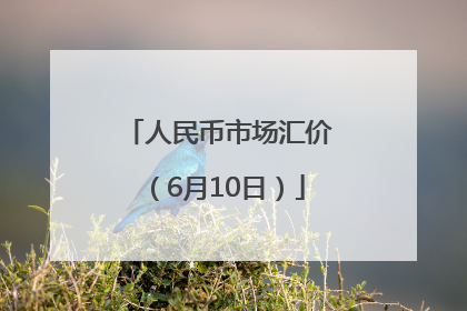 人民币市场汇价（6月10日）