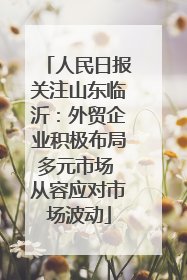人民日报关注山东临沂：外贸企业积极布局多元市场 从容应对市场波动