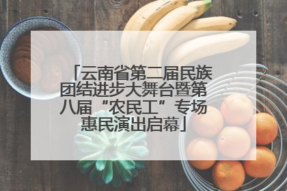 云南省第二届民族团结进步大舞台暨第八届“农民工”专场惠民演出启幕