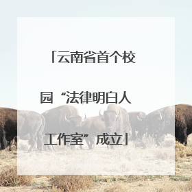 云南省首个校园“法律明白人工作室”成立