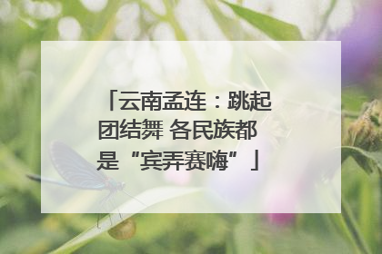 云南孟连：跳起团结舞 各民族都是“宾弄赛嗨”