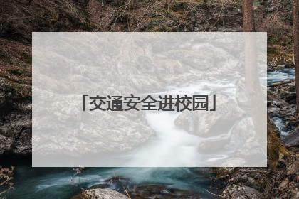 交通安全进校园