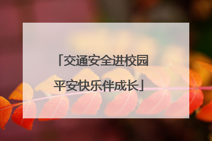 交通安全进校园 平安快乐伴成长