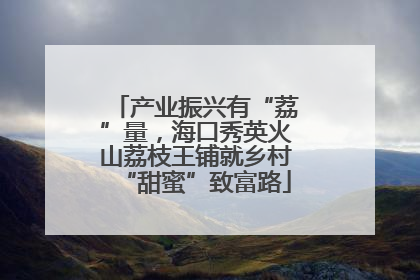 产业振兴有“荔”量，海口秀英火山荔枝王铺就乡村“甜蜜”致富路